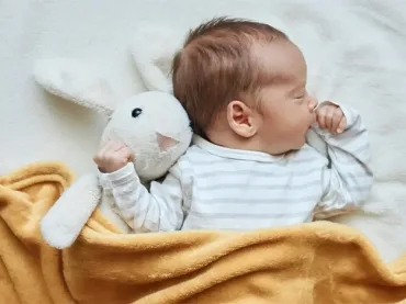 FIV (Fécondation In Vitro)