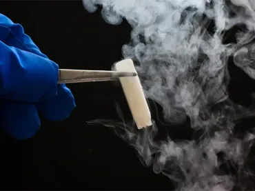 Vitrification D’Embryons