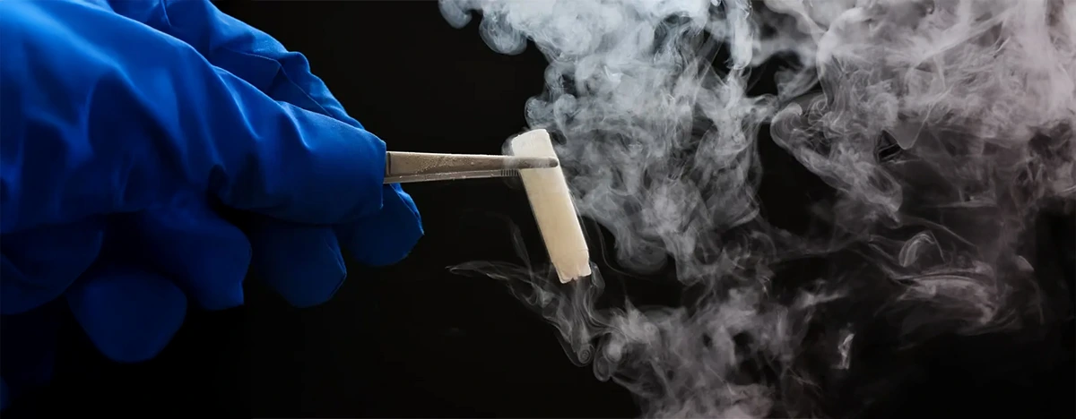 Vitrification D’Embryons