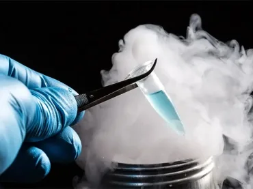 Vitrification Ovocytaire